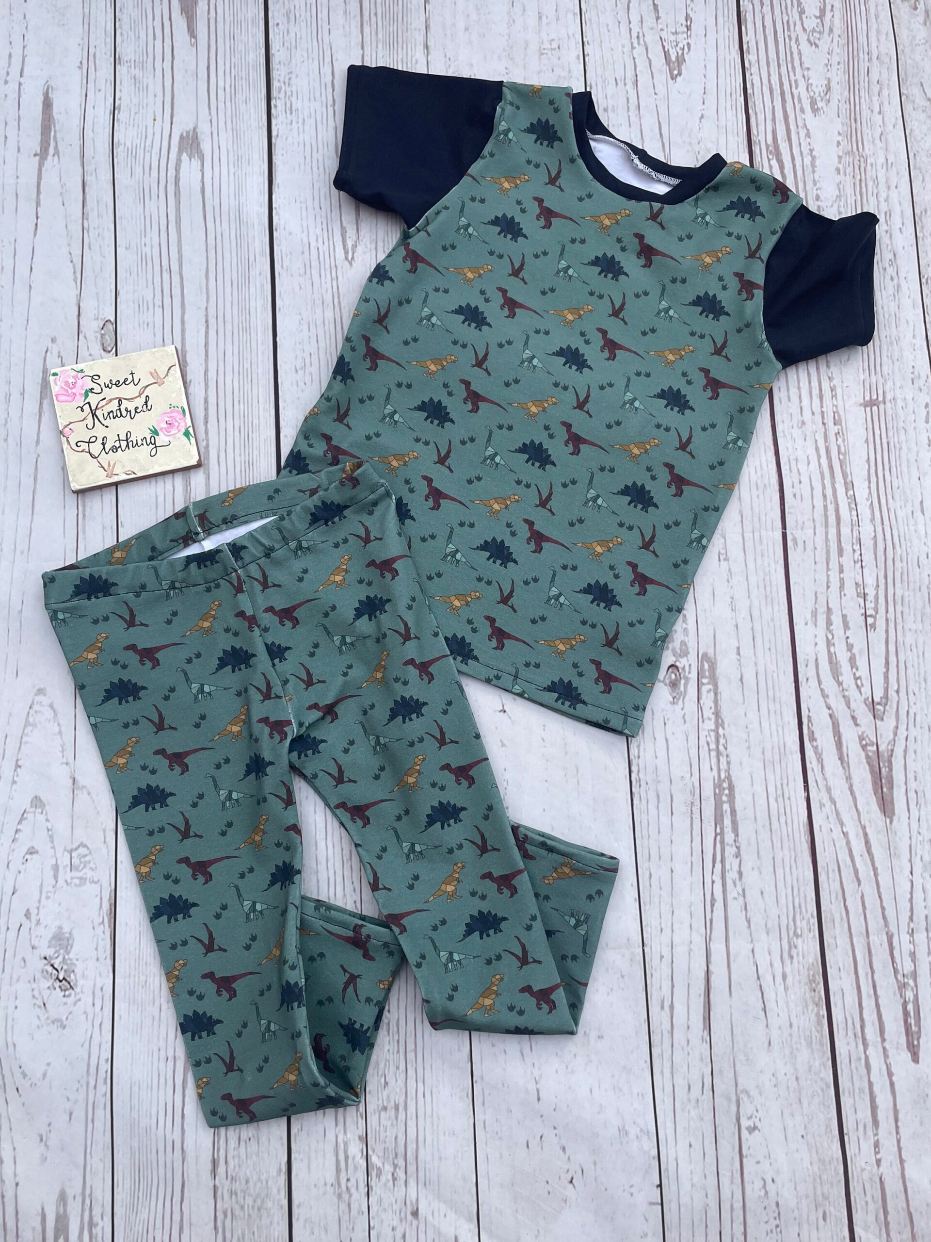 Dinosaur T-shirt and legging, matching dinosaur outfit, colourful dinosaur clothing