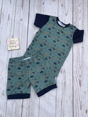 Dinosaur T-shirt and short set