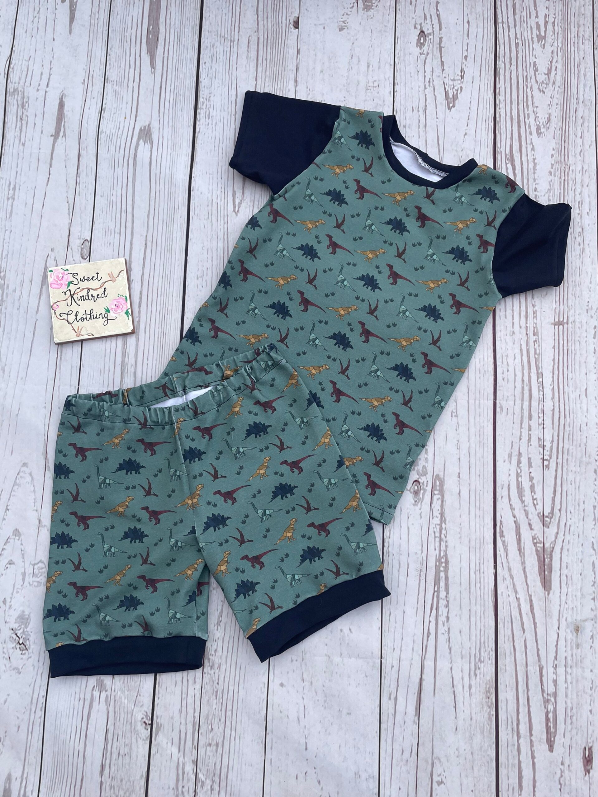 Dinosaur T-shirt and short set