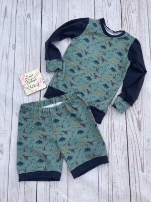 Dinosaur Jumper and short set