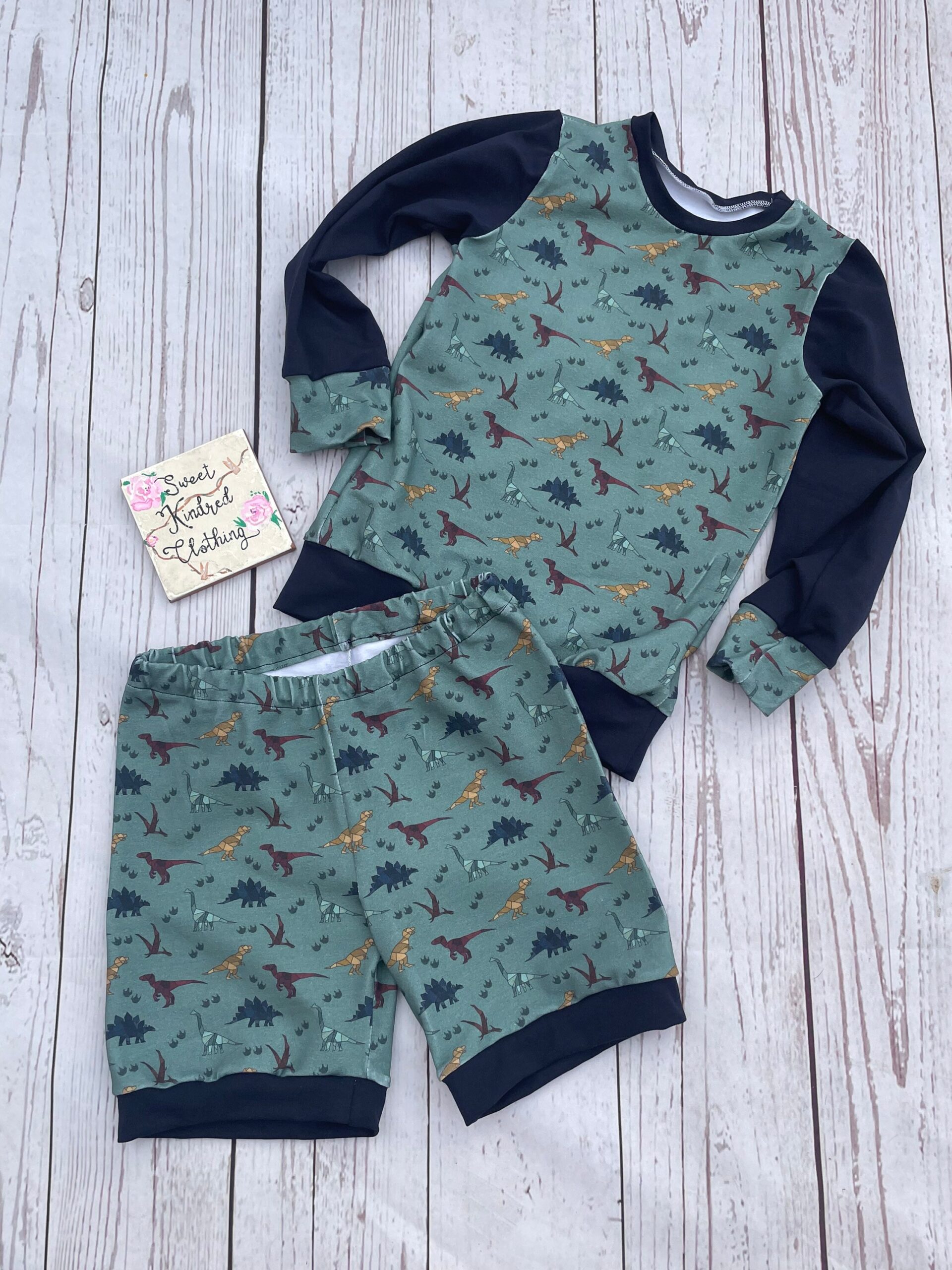 Dinosaur Jumper and short set